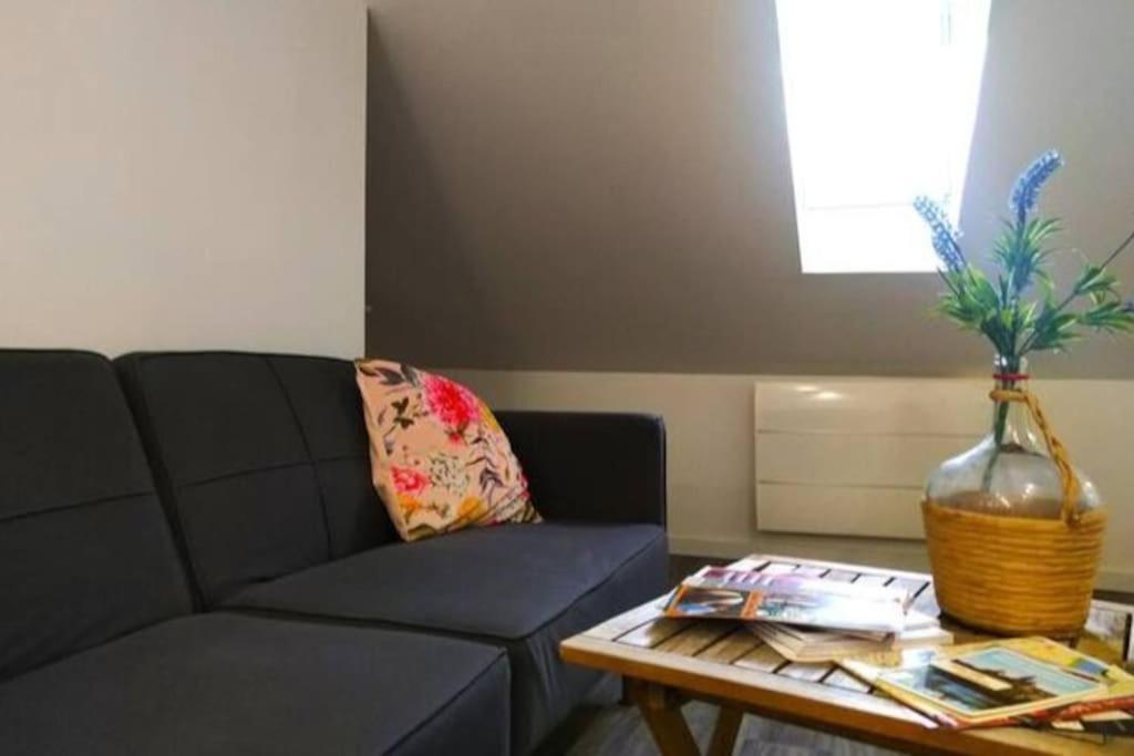 Le Cours Foucault - 3 Appartements - 8 Couchages Монтобан Экстерьер фото